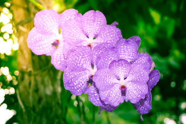 Similar image 13156057