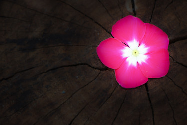 Similar image 13156077