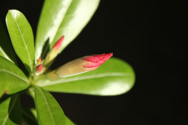 Similar image 13156097