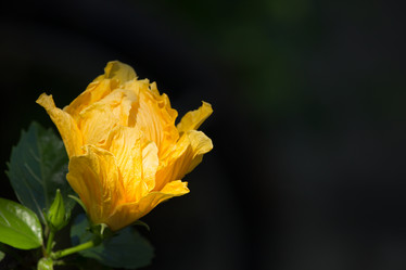 Similar image 13156136