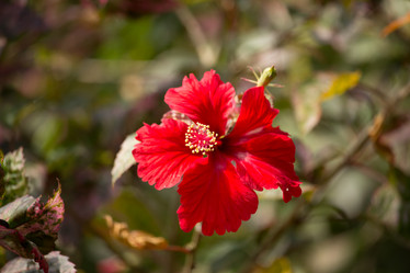 Similar image 13156138