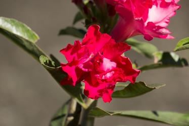 Similar image 13156139