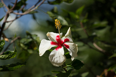 Similar image 13156151