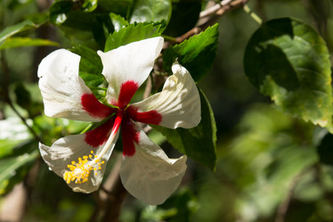 Similar image 13156152