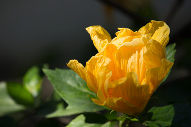 Similar image 13156153