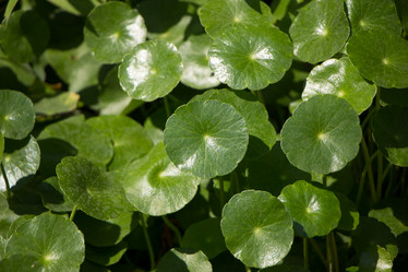 Similar image 13158674