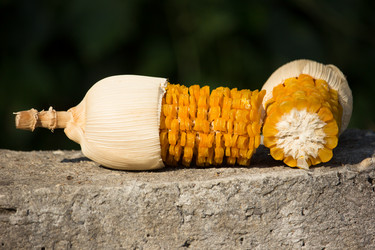 Similar image 13158705