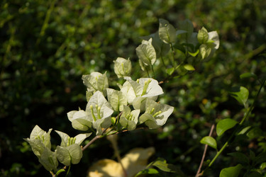 Similar image 13158706