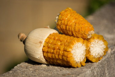 Similar image 13165516