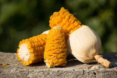 Similar image 13165532