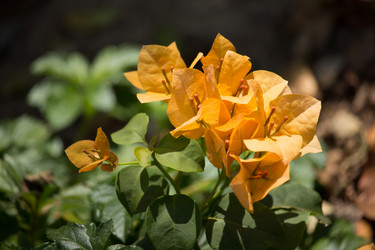 Similar image 13165534