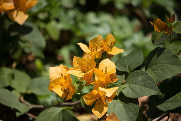 Similar image 13165535