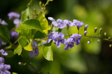 Similar image 13165536