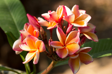 Similar image 13168545