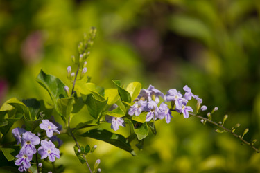 Similar image 13168546