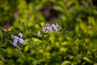 Similar image 13168547