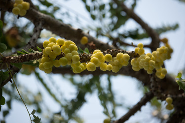 Similar image 13168549