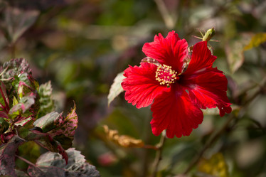 Similar image 13156020