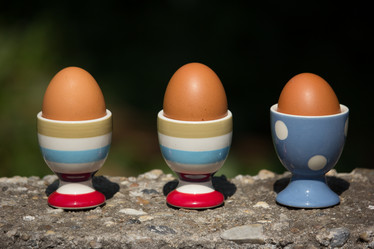 Similar image 13156029