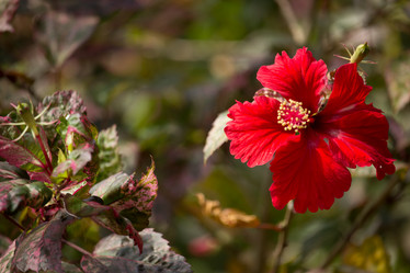 Similar image 13156059