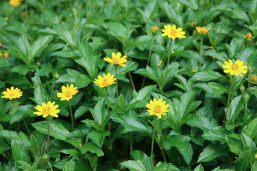 Similar image 13156060