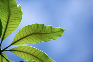 Similar image 13156080