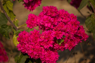 Similar image 13156100