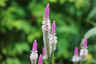 Similar image 13158675