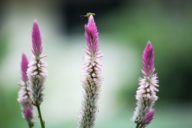 Similar image 13158676