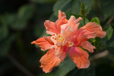 Similar image 13158677