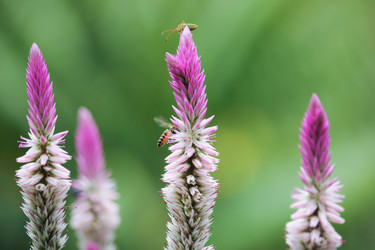 Similar image 13158678