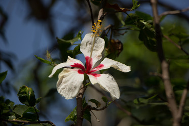 Similar image 13165495