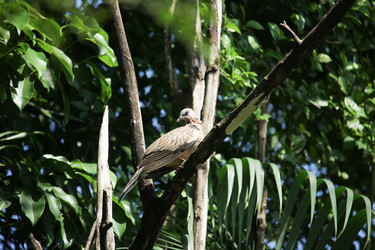 Similar image 13165497