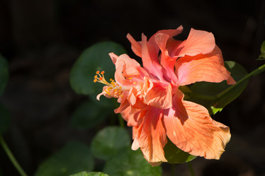 Similar image 13165498