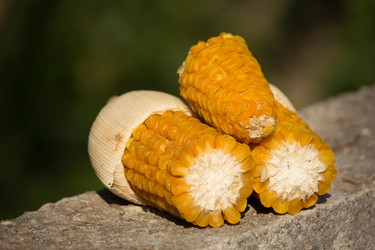 Similar image 13165520