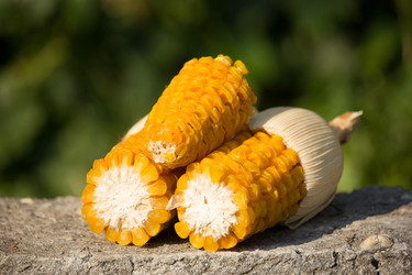 Similar image 13165522