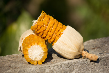 Similar image 13165524