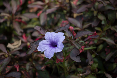 Similar image 13165537