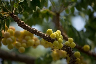 Similar image 13165538