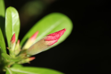 Similar image 13165540