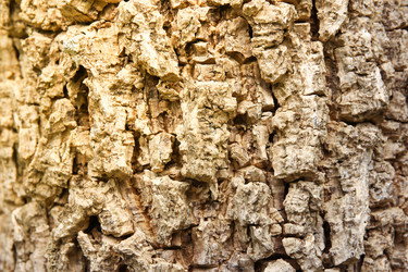 Similar image 13168551