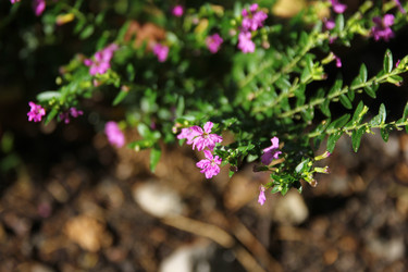 Similar image 13168552