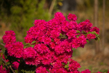 Similar image 13168553