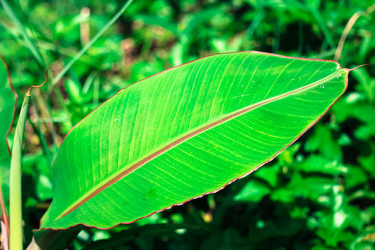 Similar image 13156000