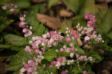 Similar image 13156001