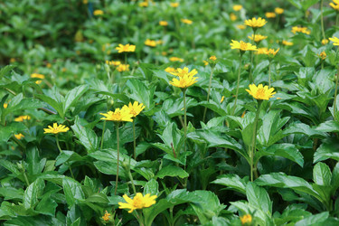 Similar image 13156085