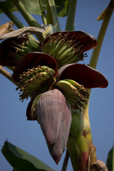 Similar image 13156101