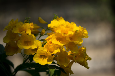 Similar image 13156104