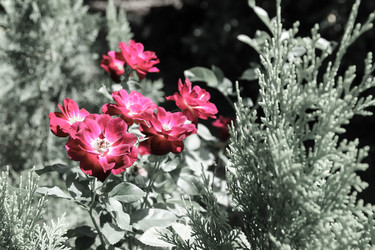 Similar image 13156105