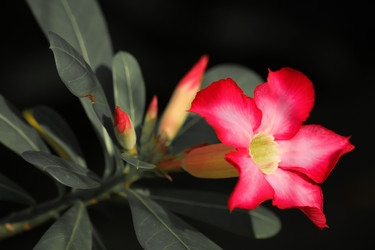 Similar image 13156002